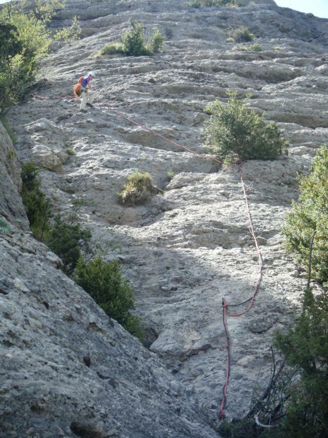 Amaroq Explorers Basecamp Tremp Eksteriør billede